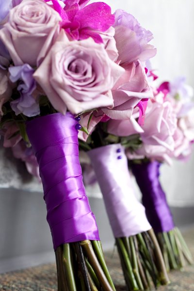 Cadbury Purple Flower Trends Predictions 2012